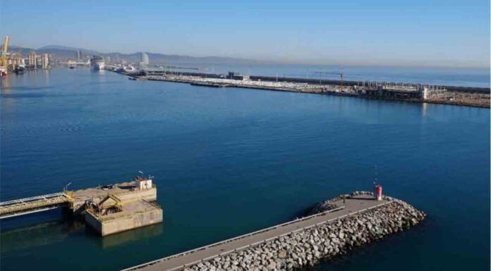 Se inician los trámites para la nueva terminal en el Muelle Adosado Se inician los trámites para la nueva terminal en el Muelle Adosado