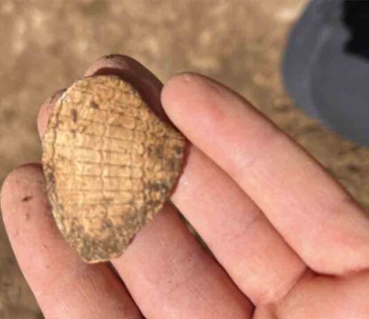 Localizan un yacimiento prehistórico al pie de la montaña de Montjuïc Localizan un yacimiento prehistórico al pie de la montaña de Montjuïc