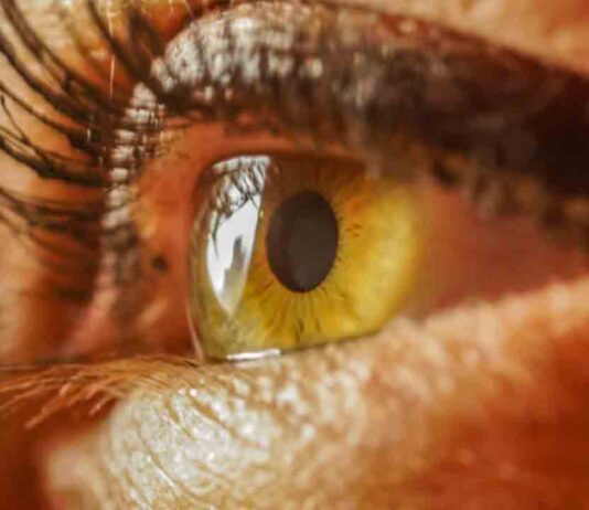 ¿Qué es la baja visión y qué ayudas existen para mejorar la calidad de vida de quienes la padecen? ¿Qué es la baja visión y qué ayudas existen para mejorar la calidad de vida de quienes la padecen?