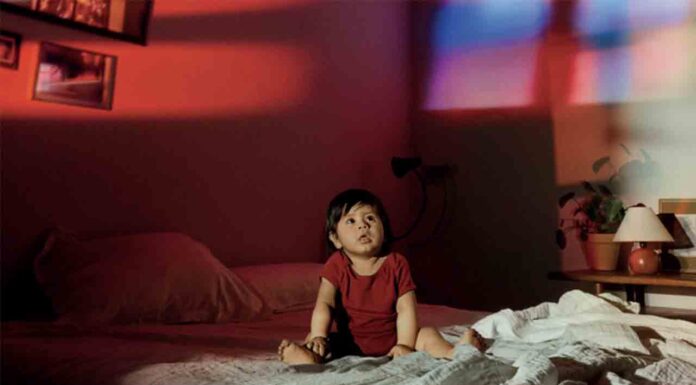 270 funciones en la Mercè 2024, espectáculo de drones y el Piromusical 270 funciones en la Mercè 2024, espectáculo de drones y el Piromusical