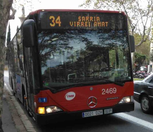 Una mujer agrede al perro lazarillo de una pasajera invidente en un bus Una mujer agrede al perro lazarillo de una pasajera invidente en un bus