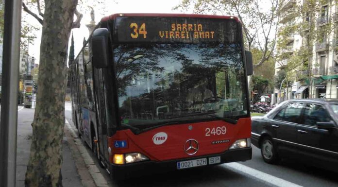 Una mujer agrede al perro lazarillo de una pasajera invidente en un bus Una mujer agrede al perro lazarillo de una pasajera invidente en un bus