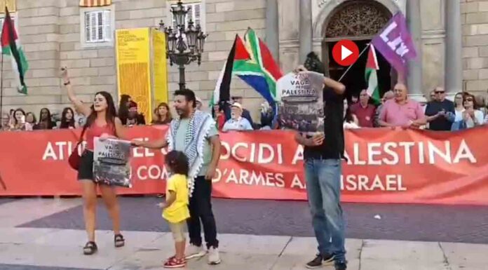 Concentración en la plaza de Sant Jaume para reclamar el fin del genocidio en Palestina Concentración en la plaza de Sant Jaume para reclamar el fin del genocidio en Palestina