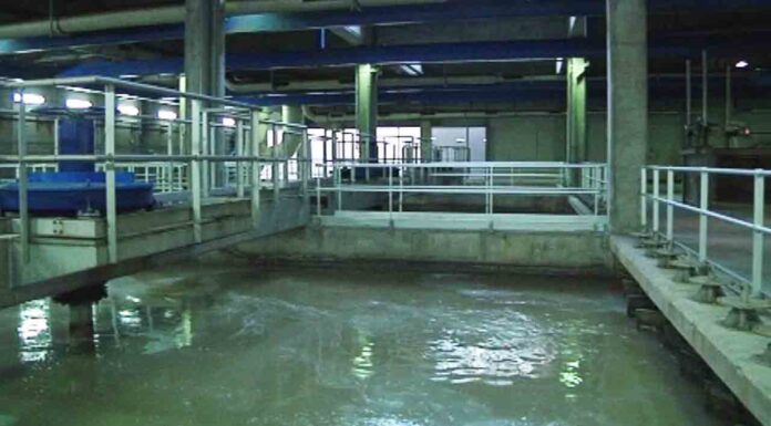 Detectan el virus de la polio en aguas de la depuradora del Besòs Detectan el virus de la polio en aguas de la depuradora del Besòs