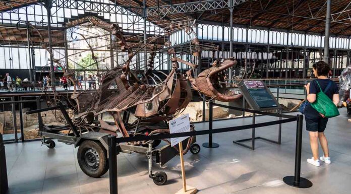 El Seguici Popular, los gigantes y las bestias se exponen por la Mercè 2024 El Seguici Popular, los gigantes y las bestias se exponen por la Mercè 2024