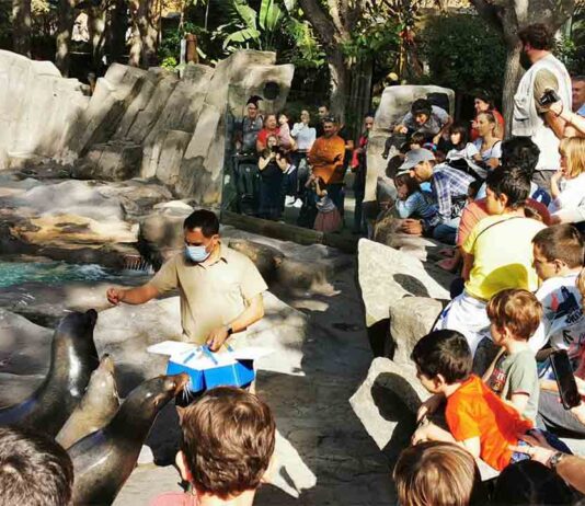 El Zoo cierra el verano con un 13% más de visitantes El Zoo cierra el verano con un 13% más de visitantes
