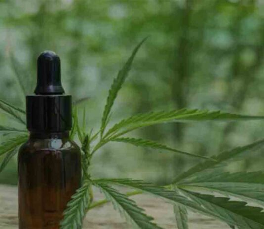 Evolución del CBD a nivel mundial Evolución del CBD a nivel mundial