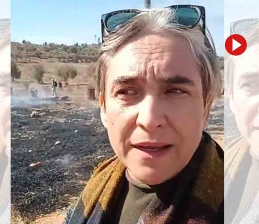 El ejército de ocupación israelí ataca la delegación en la que viajan Colau y Asens Colau viaja a Palestina para investigar violaciones del derecho internacional