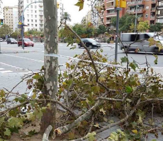 Desactivado el Plan de Actuación Municipal por ventoleras en fase de alerta Desactivado el Plan de Actuación Municipal por ventoleras en fase de alerta