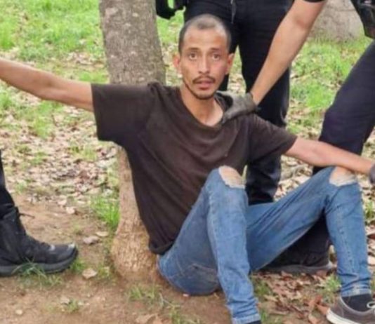 Detenido un hombre en Montjuïc por atacar a una niña de un año Detenido un hombre en Montjuïc por atacar a una niña de un año