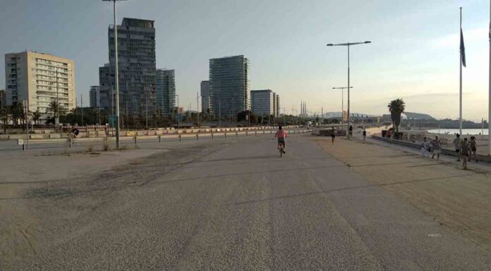 El paseo de la Mar Bella cambiará para adaptarse a los temporales El paseo de la Mar Bella cambiará para adaptarse a los temporales