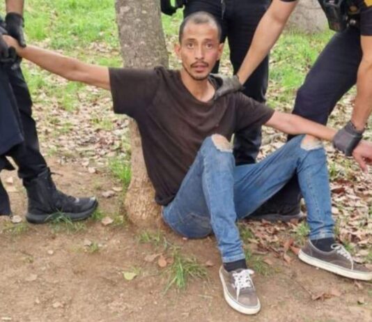 Detenido un hombre en Montjuïc por atacar a una niña de un año