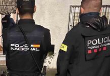 Tres detenidos en Las Palmas por el robo violento de un reloj en Barcelona Desarticulado un grupo que falsificaba documentación para ciudadanos chinos