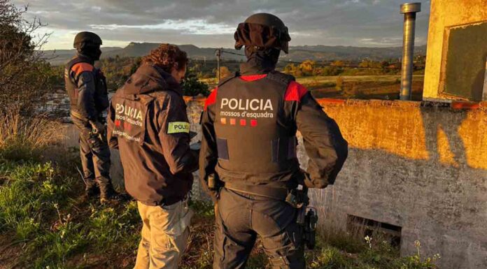 Operación para desarticular un grupo de ladrones y tráfico de marihuana Operación para desarticular un grupo de ladrones y tráfico de marihuana