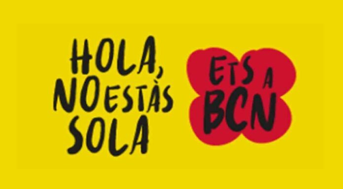 Actividades el 25N. Día Internacional para la Eliminación de la Violencia hacia las Mujeres Actividades el 25N Día Internacional para la Eliminación de la Violencia hacia las Mujeres