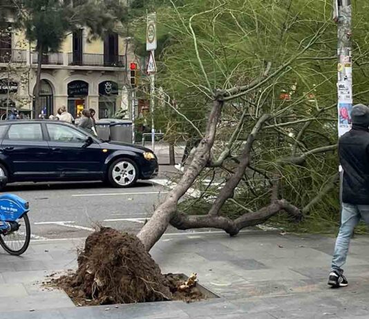 Desactivado el Plan de Actuación Municipal por ventoleras en fase de alerta Desactivado el Plan de Actuación Municipal por ventoleras en fase de alerta