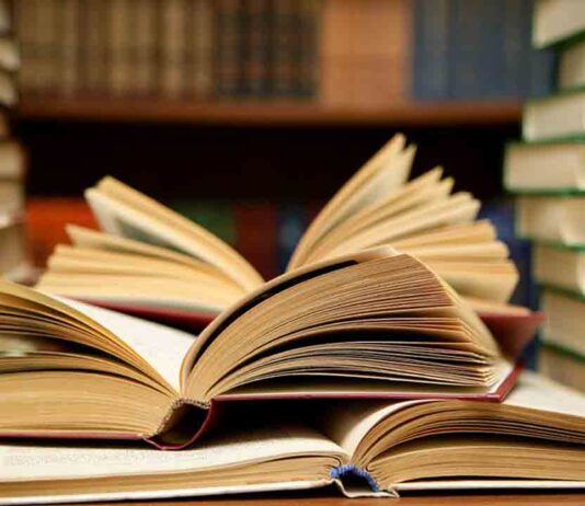 Las ocho recomendaciones de Barcelona Libros para esta Navidad Las ocho recomendaciones de Barcelona Libros para esta Navidad
