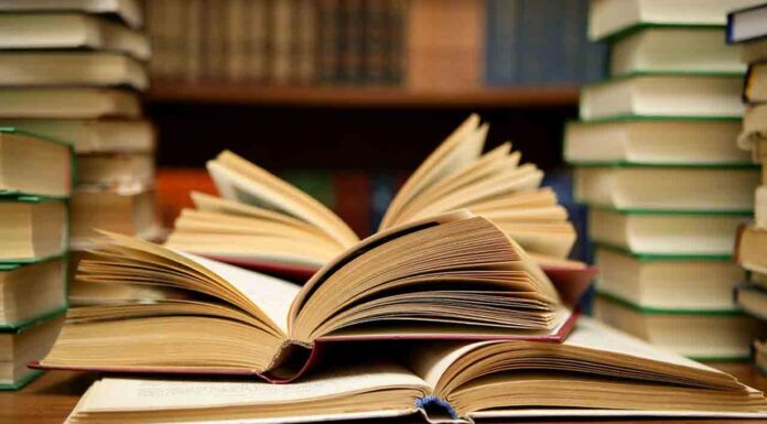 Las ocho recomendaciones de Barcelona Libros para esta Navidad Las ocho recomendaciones de Barcelona Libros para esta Navidad