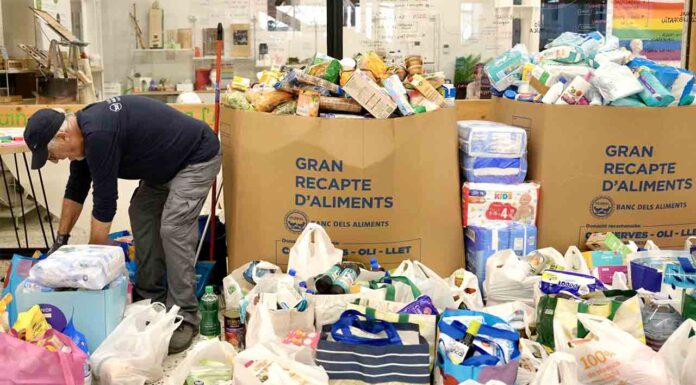 Más de 8 toneladas de alimentos recogidos en un día para los afectados por la Dana Más de 8 toneladas de alimentos recogidos en un día para los afectados por la Dana