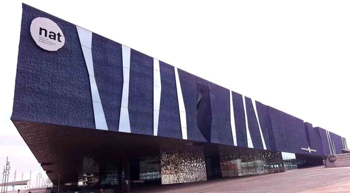 Actividades familiares de Navidad en el Museo de Ciencias Naturales Actividades familiares de Navidad en el Museo de Ciencias Naturales