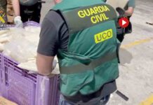 Desarticulada una organización que importaba cocaína en contenedores de fruta Desarticulada una organización que importaba cocaína en contenedores de fruta