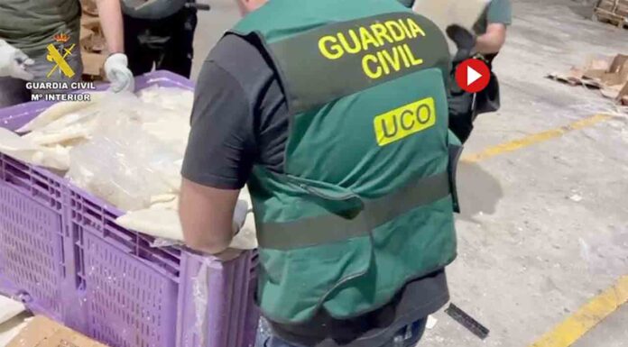 Desarticulada una organización que importaba cocaína en contenedores de fruta Desarticulada una organización que importaba cocaína en contenedores de fruta