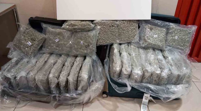 Detenido un hombre de 74 años con 50 kg de marihuana en el aeropuerto Detenido un hombre de 74 años con 50 kg de marihuana en el aeropuerto