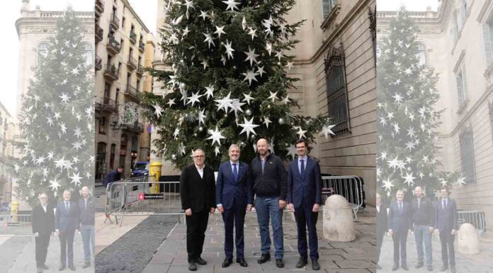 Ya está instalado el árbol de Navidad de la plaza Sant Jaume Ya está instalado el árbol de Navidad de la plaza Sant Jaume