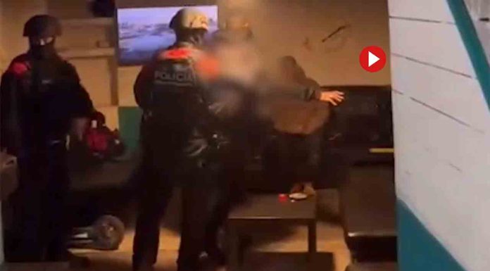 Desmantelado un narcolocal en el Gòtic oculto como asociación cannábica Desmantelado un narcolocal en el Gòtic oculto como asociación cannábica