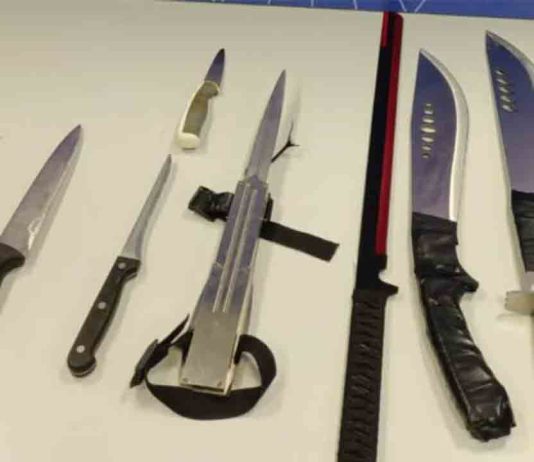 Localizan machetes y cuchillos escondidos en un parque infantil de Hospitalet Localizan machetes y cuchillos escondidos en un parque infantil de Hospitalet