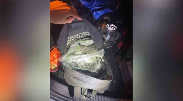 Paran un coche en Les Corts y encuentran 4 kg de marihuana Paran un coche en Les Corts y encuentran 4 kg de marihuana