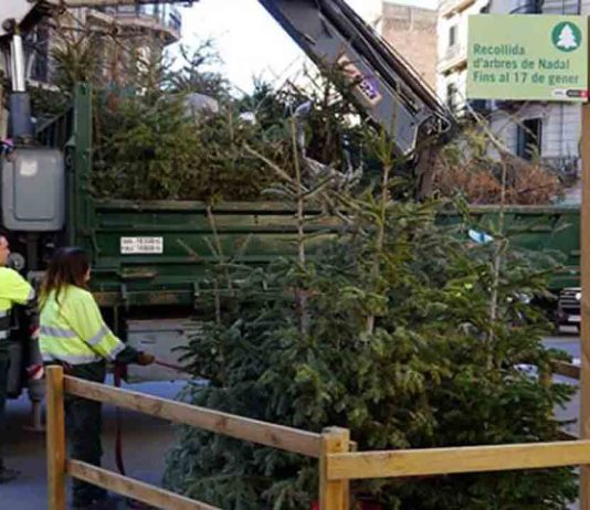 Puntos de recogida de árboles de Navidad en los diez distritos de la ciudad Puntos de recogida de árboles de Navidad en los diez distritos de la ciudad