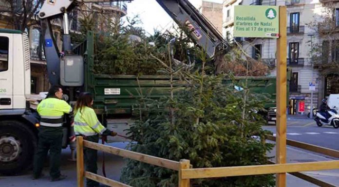 Puntos de recogida de árboles de Navidad en los diez distritos de la ciudad Puntos de recogida de árboles de Navidad en los diez distritos de la ciudad