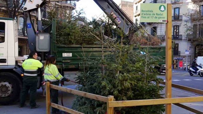 Puntos de recogida de árboles de Navidad en los diez distritos de la ciudad