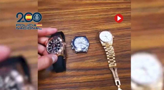 Recuperan 12 relojes de lujo en una operación contra el crimen napolitano Recuperan 12 relojes de lujo en una operación contra el crimen napolitano