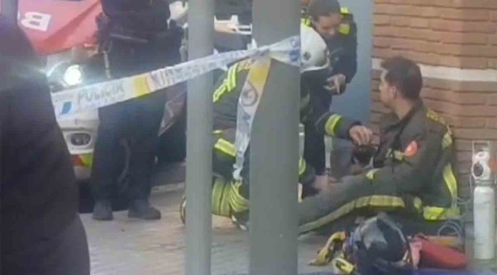 Rescatan un perro del incendio en un local de La Bordeta Rescatan un perro del incendio en un local de La Bordeta