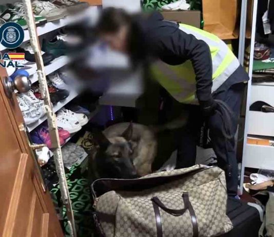 10 detenidos por tráfico de mujeres y explotación sexual 10 detenidos por tráfico de mujeres y explotación sexual