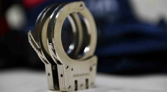 Desmantelan una banda especializada en robos en el transporte público Desmantelan una banda especializada en robos en el transporte público