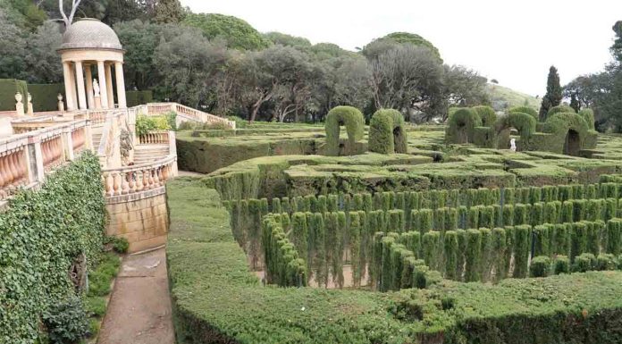 Se inician las obras del laberinto vegetal del parque del Laberinto de Horta Se inician las obras del laberinto vegetal del parque del Laberinto de Horta