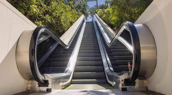 En marcha las nuevas escaleras mecánicas del Parc de Montjuïc En marcha las nuevas escaleras mecánicas del Parc de Montjuïc