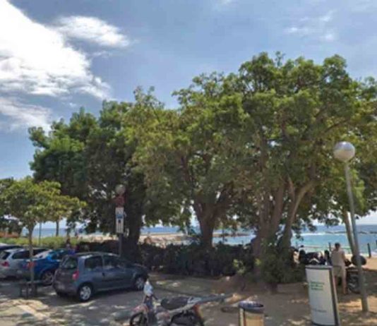 Entra en marcha el estacionamiento regulado en la zona de playas de Sant Martí Entra en marcha el estacionamiento regulado en la zona de playas de Sant Martí