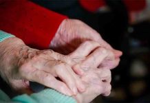 La Audiencia ordena la apertura de juicio por la estafa de BBServeis, después de 12 años La Audiencia ordena la apertura de juicio por la estafa de BBServeis, después de 12 años