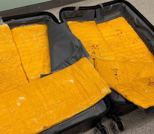 Pillan 10 kilos de heroína a dos hombres en la Estación del Norte Pillan 10 kilos de heroína a dos hombres en la Estación del Norte