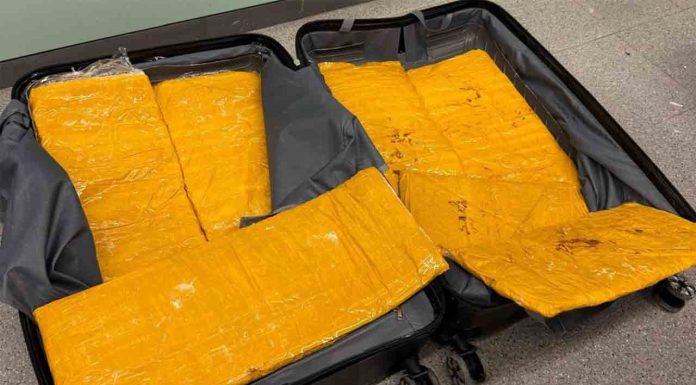 Pillan 10 kilos de heroína a dos hombres en la Estación del Norte Pillan 10 kilos de heroína a dos hombres en la Estación del Norte