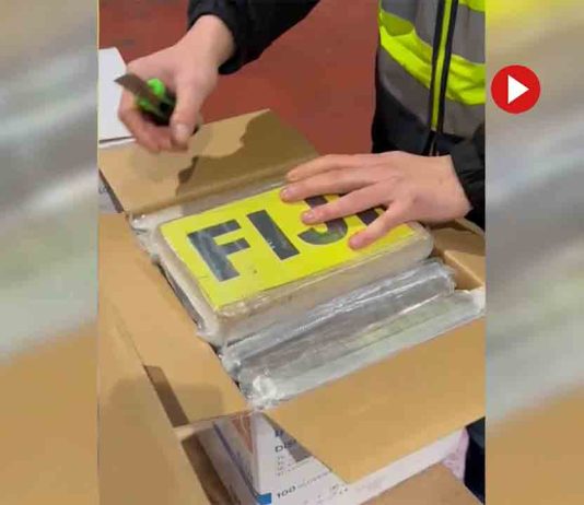 Pillan 378 Kg de cocaína preparados para enviar a Australia Pillan 378 Kg de cocaína preparados para enviar a Australia