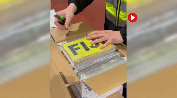 Pillan 378 Kg de cocaína preparados para enviar a Australia Pillan 378 Kg de cocaína preparados para enviar a Australia