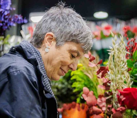 Sant Jordi 2025 tiene previsión de vender 7 millones de rosas Sant Jordi 2025 tiene previsión de vender 7 millones de rosas