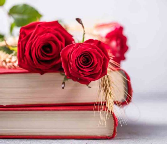 Todas las actividades en Sant Jordi 2025 Todas las actividades en Sant Jordi 2025