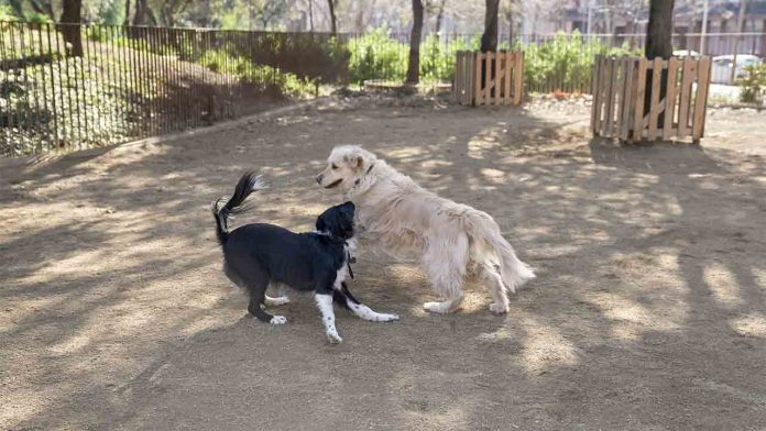 Críticas por el traslado del pipicán a los Jardines del Doctor Samuel Hahnemann