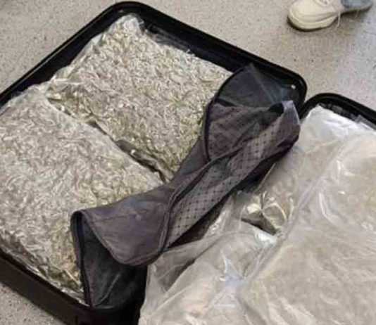 Detenido en la Estación de Norte con 24 kilos de marihuana Detenido en la Estación de Norte con 24 kilos de marihuana